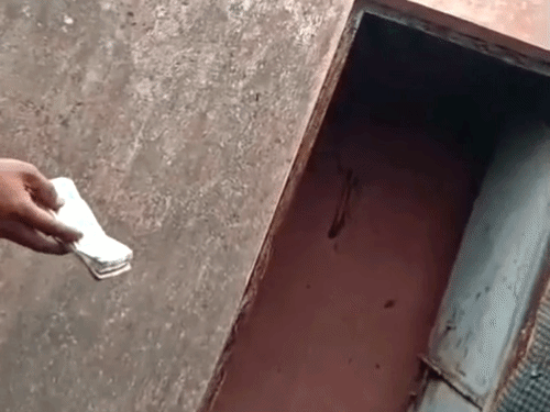 जमीन बंटवारे के नाम पर पटवारी का 25 हजार रुपए रिश्वत लेते वीडियो वायरल हो रहा है।