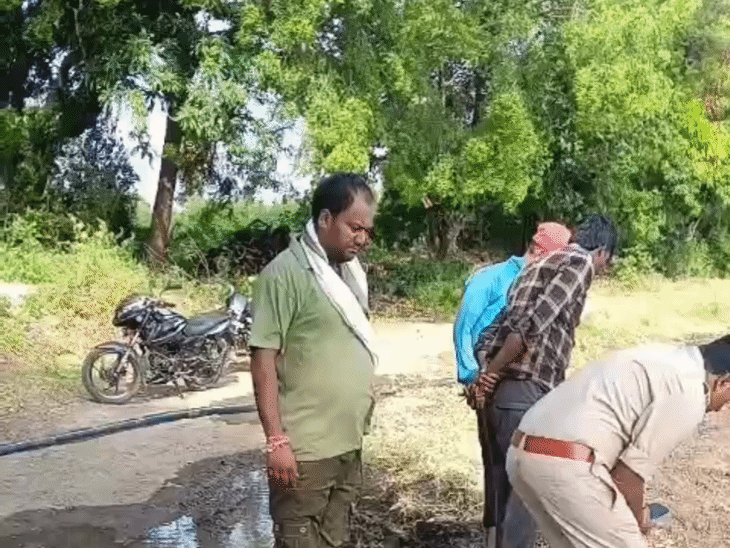 Magic Leperd Sehore Leopard Attack News | Wild Animal Kills Cow in Farmer Field