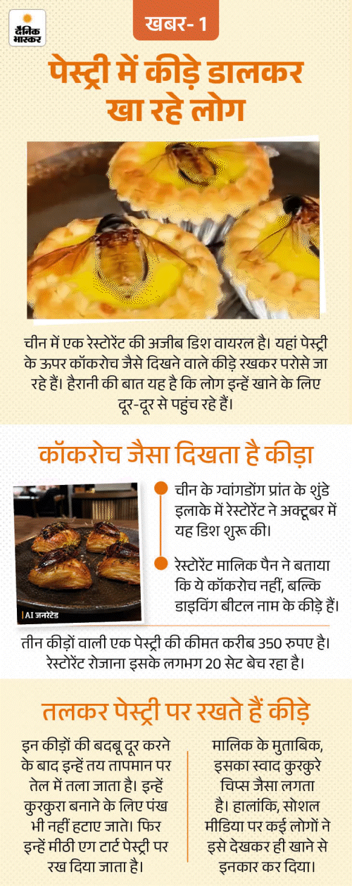खबर हटके- पेस्ट्री में कीड़े डालकर खा रहे लोग: 6 साल के बच्चे ने जीती ₹50 लाख की कार; डायनासोर का कंकाल ₹420 करोड़ में बिका kbh 01 3 1793213986089