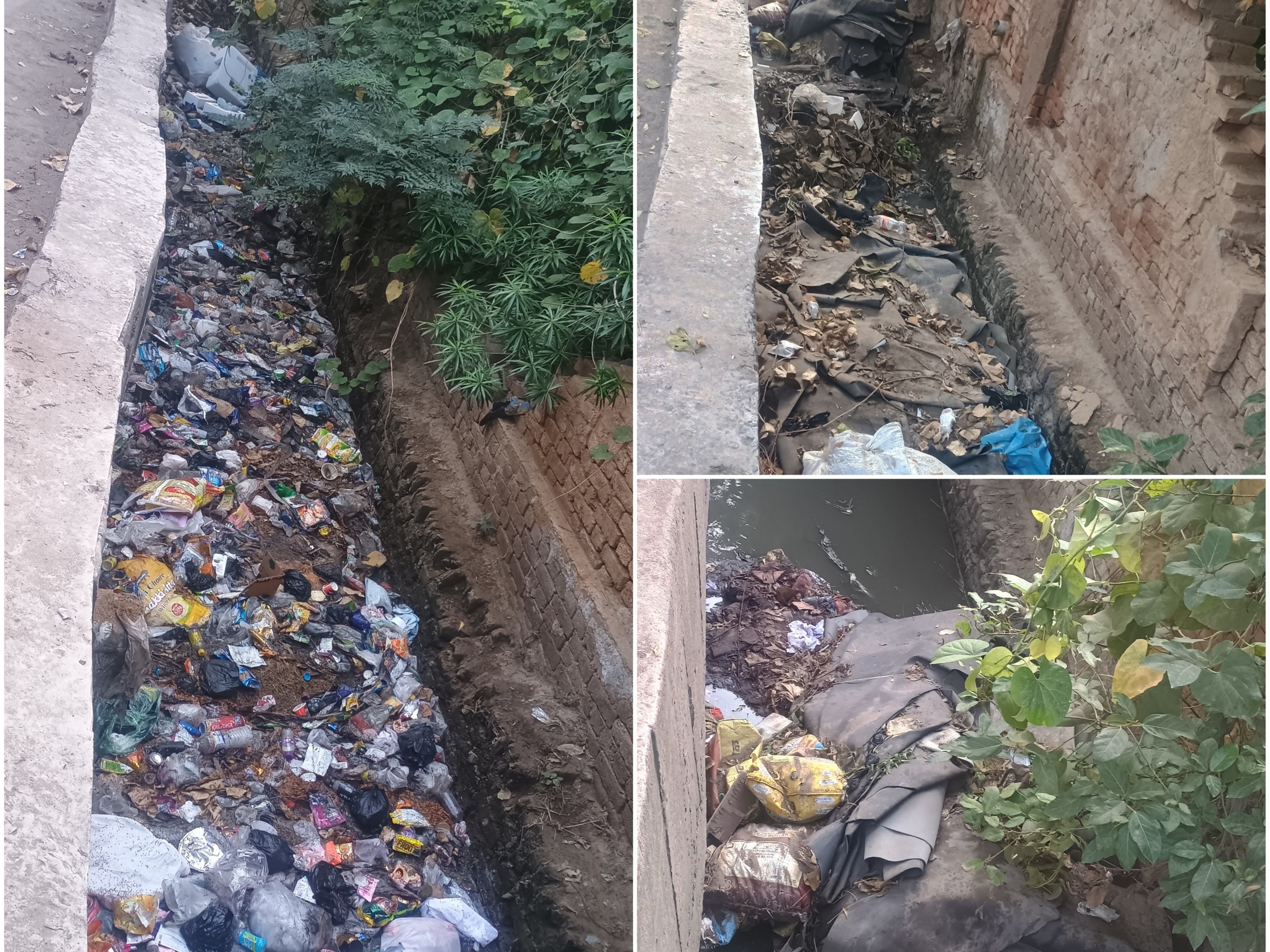 Malka Chabutra Drain Blockage | Municipal Corporation Neglect & Hygiene ...