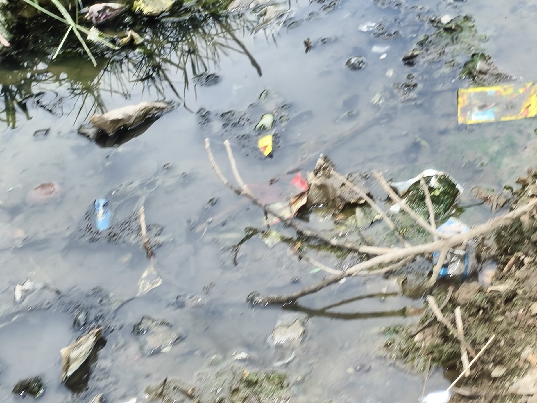 Devaran Gadiya News | Drainage Blockage Causes Disease Outbreak Risk