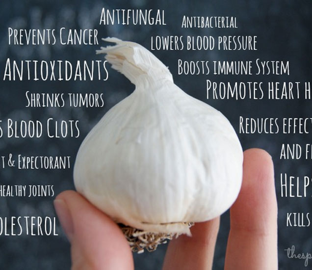 garlic health benefits in marathi आरोग्यवर्धक लसणाचे चमत्कारी फायदे