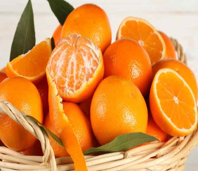 Health benefits Of orange रोज एक संत्री खाल्ल्याने होतात मोठे फायदे