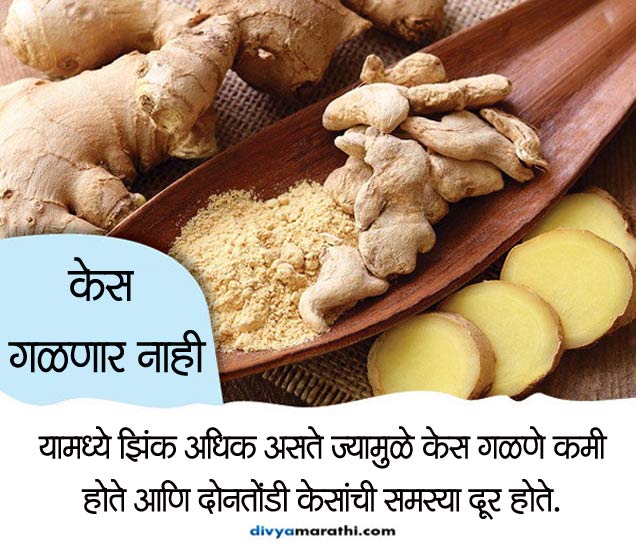 Top 10 Health Benefits Of Ginger 10 फायदे रोज खा अद्रक, कमी होईल हेयर फॉल... Divya Marathi
