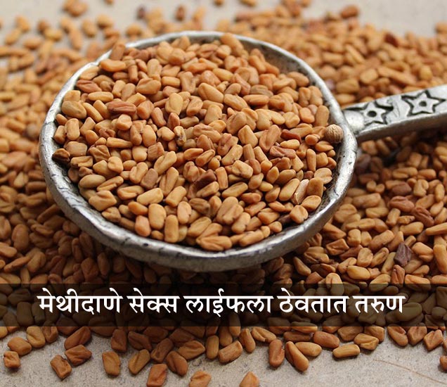 मेथीदाण्याचे मॅजिक, नियमित खाल्ल्याने होतील हे खास 10 फायदे Fenugreek