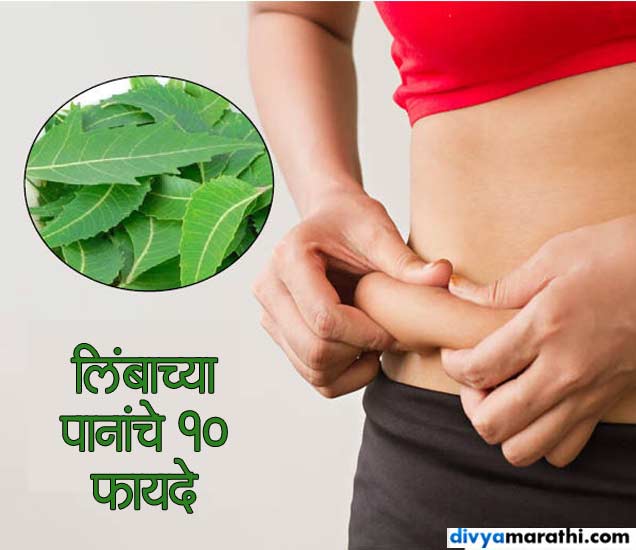 10 Amazing Benefits Of Neem Leaves लठ्ठपणा कमी करण्यापासून कोंडा दूर
