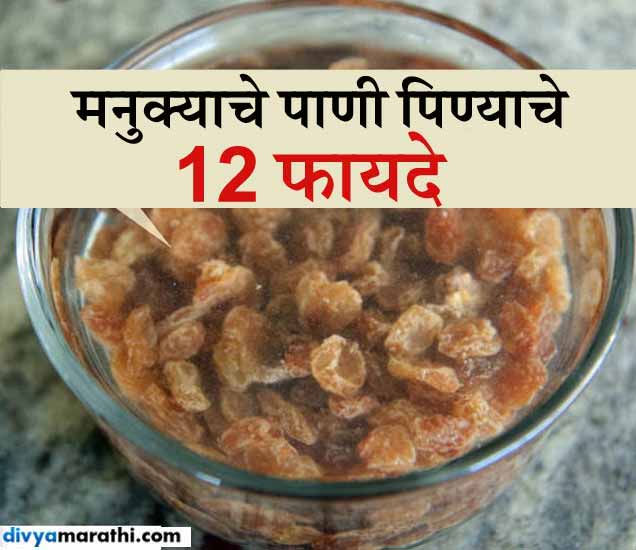 रोज उपाशीपोटी मनुक्याचे पाणी घेतल्यास होतील हे 12 फायदे... 12