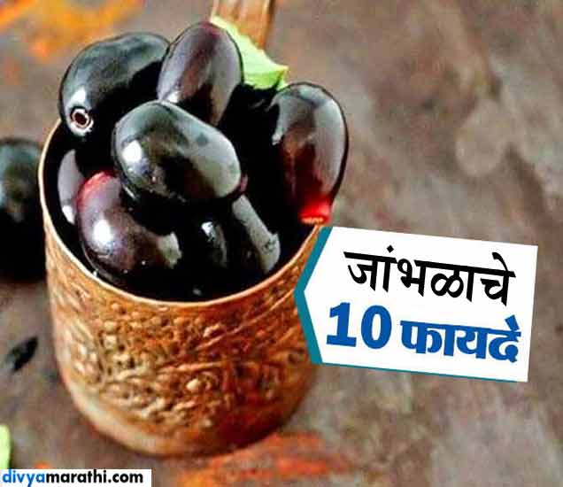 10 Proven Health Benefits Of Black Plum रोज खावेत मुठभर जांभुळ, हे आहेत याचे 10 फायदे