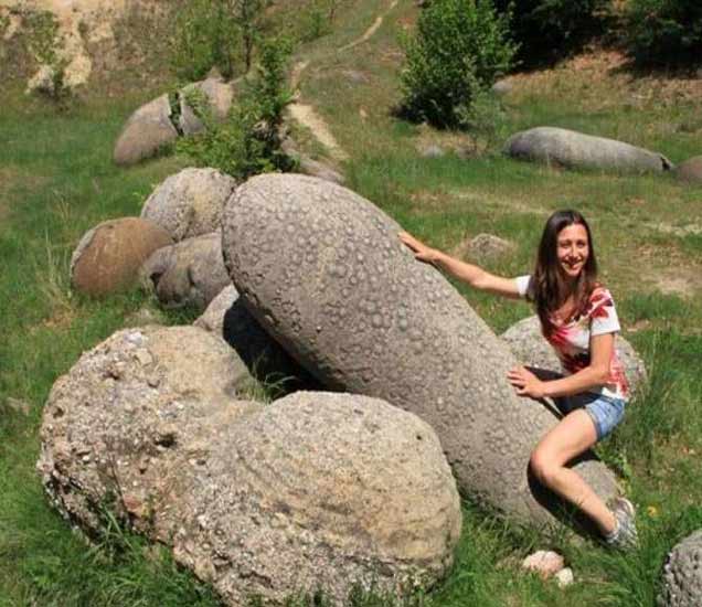 These Stones Are Alive, Changes Their Shape Regularly झाडांप्रमाणे