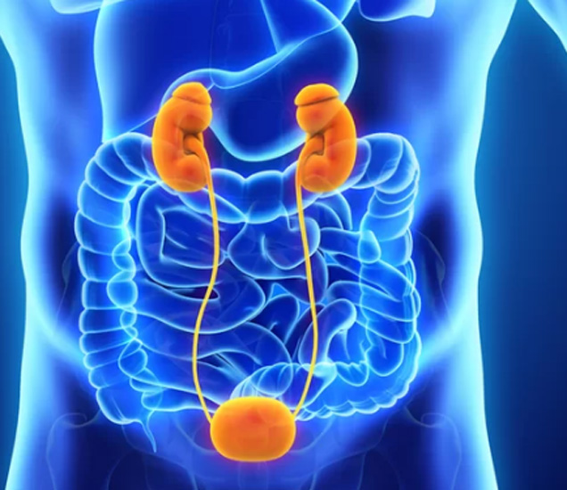 urinary bladder cancer symptoms news marathi यूरिनरी ब्‍लॅडरमधील