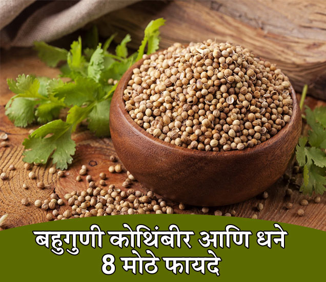 Coriander Seeds Have Very Many Health Benefits डोळ्यांसाठी लाभदायक