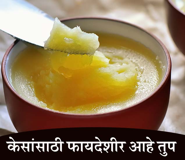 Ghee benefits for hair केसांना लावा शुध्द तुप, केस होतील मजबूत, असा