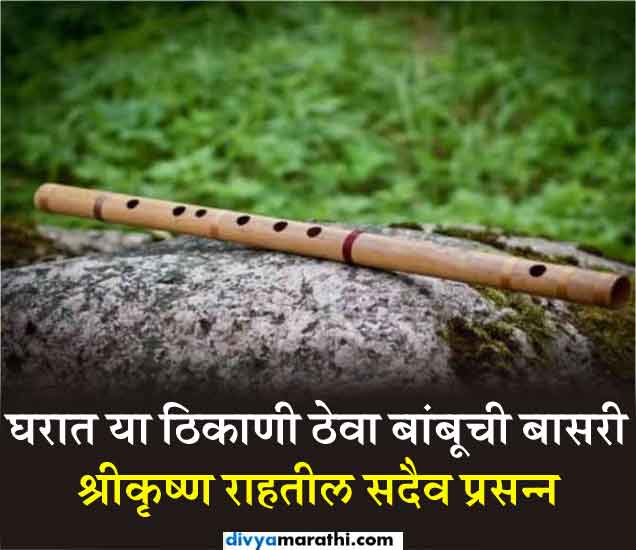 Vastu Tips For Flute घरात या ठिकाणी ठेवा बांबूची बासरी, श्रीकृष्ण