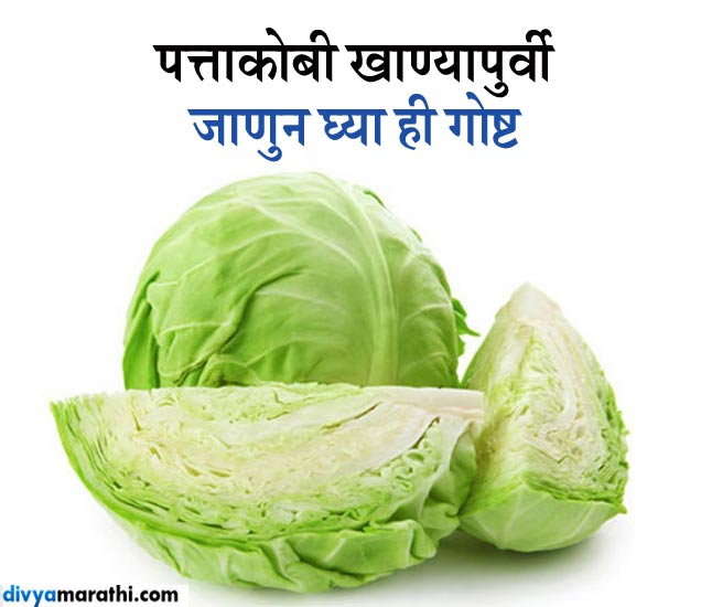 Cabbage eating tips in marathi पत्ताकोबी खाण्यापूर्वी हे अवश्य वाचा