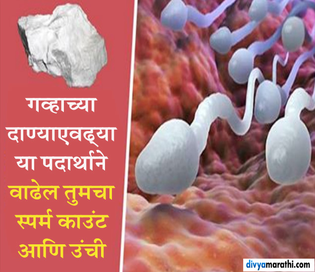 Health Benefits Of LimeStone फक्‍त गव्‍हाच्‍या दाण्‍याएवढा हा पदार्थ