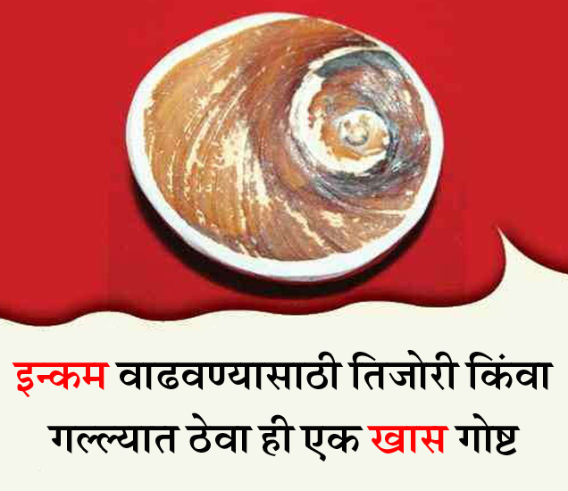 Gomti Chakra Astrological Measures in marathi 5 उपाय तिजोरी किंवा