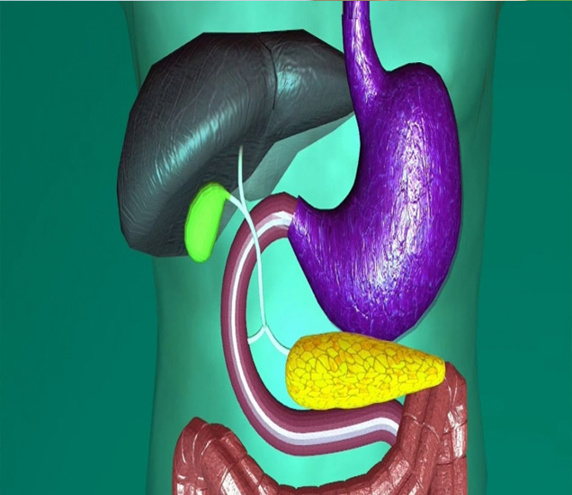 फक्‍त 2 दिवसांत सुधारेल Digestion, ट्राय करा हा सोपा घरगुती उपाय Home