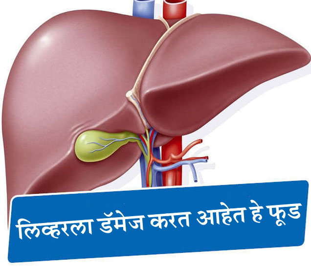 LIVER STRUCTURE AND FUNCTION IN MARATHI visual data 8