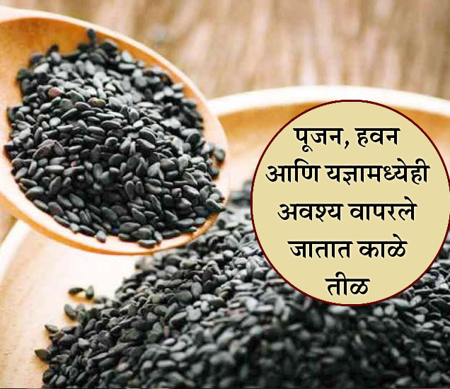 Measures Of Black Sesame Shani Dosh Upay काळ्या तिळाने दूर होऊ