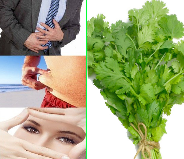 Health benefits of Eating Coriander आयुर्वेद कोथिंबीर खाल्ल्याने
