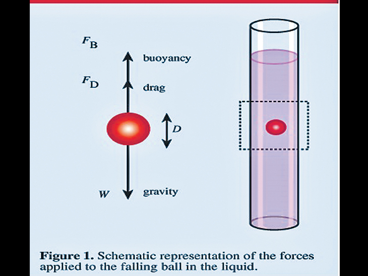 Priyanka patil writes about viscosity चिकटपणा कसा ओळखायचा? Divya