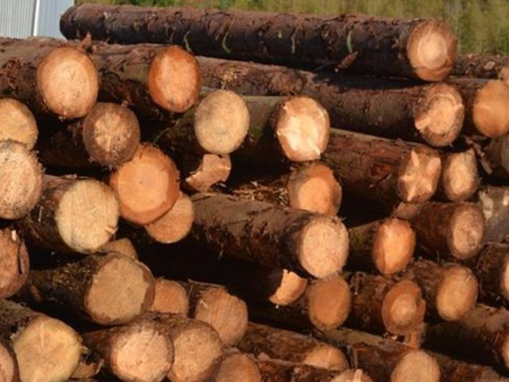 एखादे नवीन काम सुरु करण्यापूर्वी त्याची संपूर्ण माहिती अवश्य घ्यावी