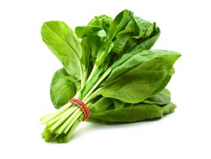 spinach health benefits in marathi हृदयापासून मेंदूपर्यंत सर्व