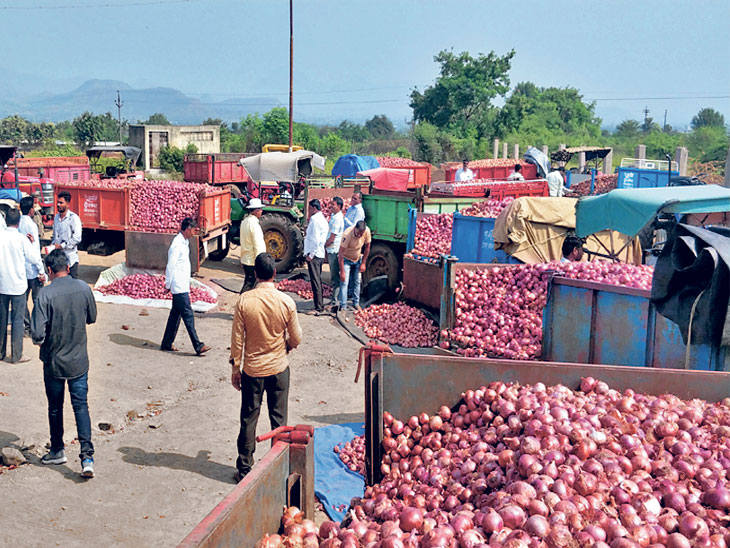 Nashik Onion rate cross 8000 rupees कांदा ८००० पार; किरकोळ विक्रीत