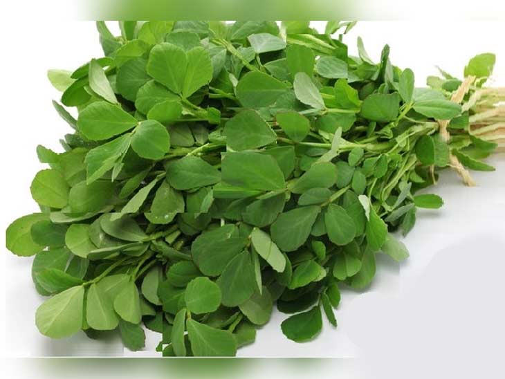Eating fenugreek seeds leads to very beneficial health benefits