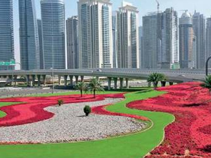 13 लाख चौ.मी.मध्ये 6 कोटी फुले, मेहनत पाहता यावी यासाठी बागकाम