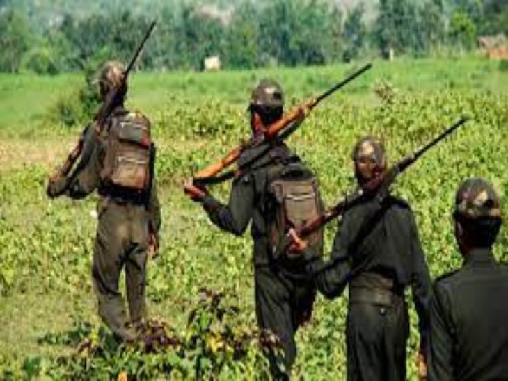 The Naxals should first surrender and come into the mainstream - Maratha Youth Union | नक्षल्यांनी आधी शरणागती पत्करून मुख्य प्रवाहात यावे, मराठा युवा संघाचे माओवाद्यांना आवाहन - Vimarsana News