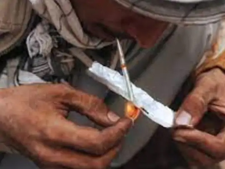 Taliban Danger Of Further Increasing Drug Network | आता ड्रग्जचीही दहशत वाढवणार तालिबान; अफूची शेती आणि पाकिस्तानच्या मदतीने ड्रग्जचा धंदा वाढत जाणार - Vimarsana News