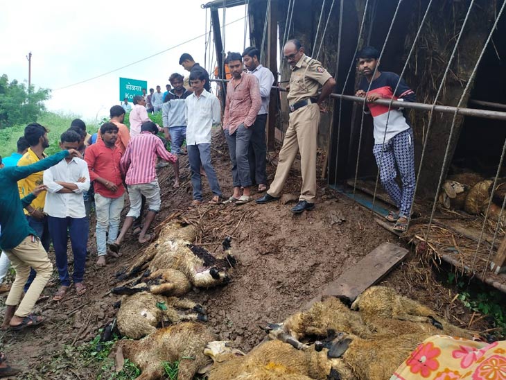 A truck overturned in a kolsa villeges killing 80 sheep; news and live updates | कोळशा शिवारात ट्रक उलटल्याने एका मजूरासह 80 मेंढ्या दगावल्या, पाच जणांना वाचविण्यात यश - Vimarsana News
