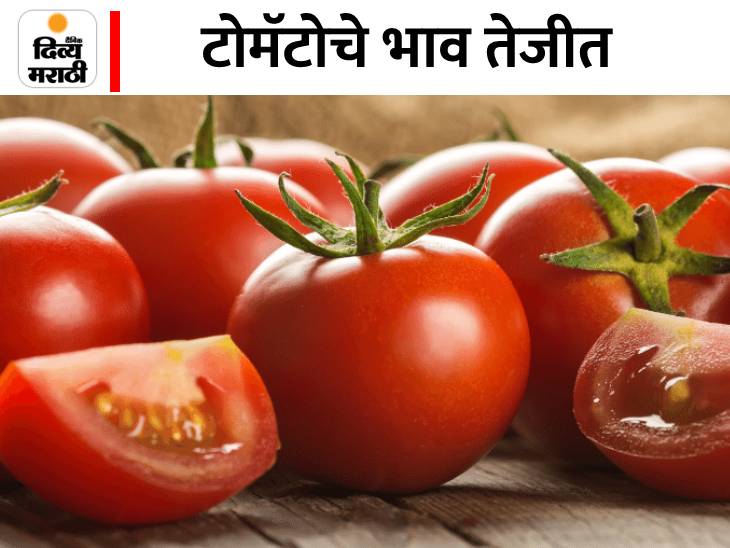 टोमॅटोचे दर तब्बल 80 रुपये किलोपर्यंत; लसूण शंभर रुपयाला चार किलो Prices of tomatoes up to Rs
