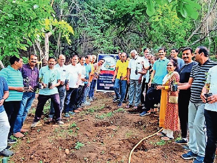 ‘डॉक्टर्स डे’ निमित्त शिव टेकडी येथे गुलाब बागेची निर्मिती Creation