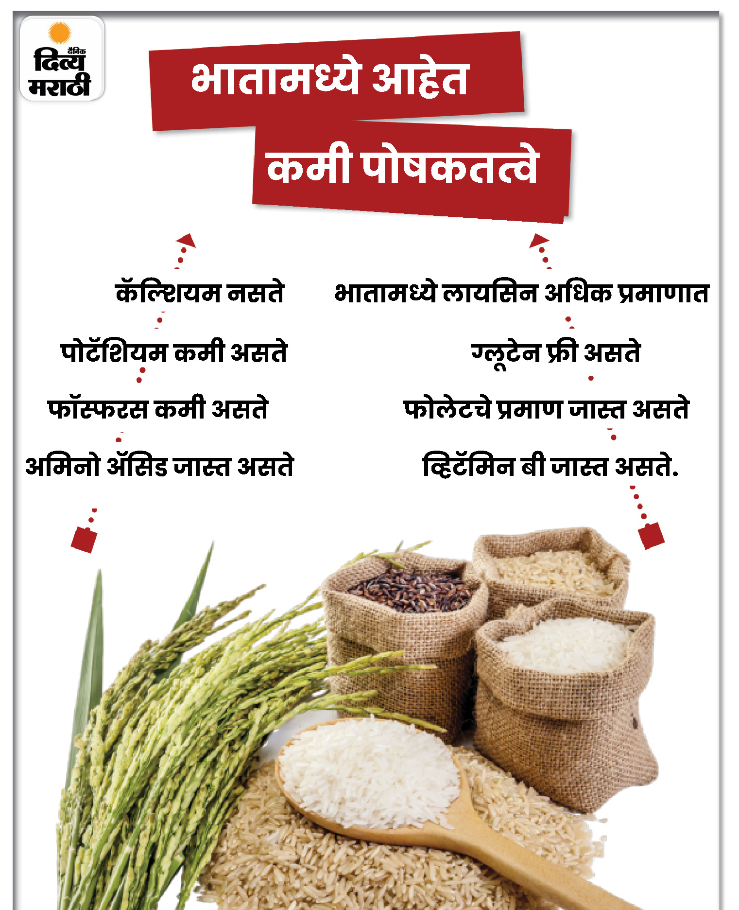 Rice or chapati, what's good for health Eating chapati over rice leads to weight loss, say