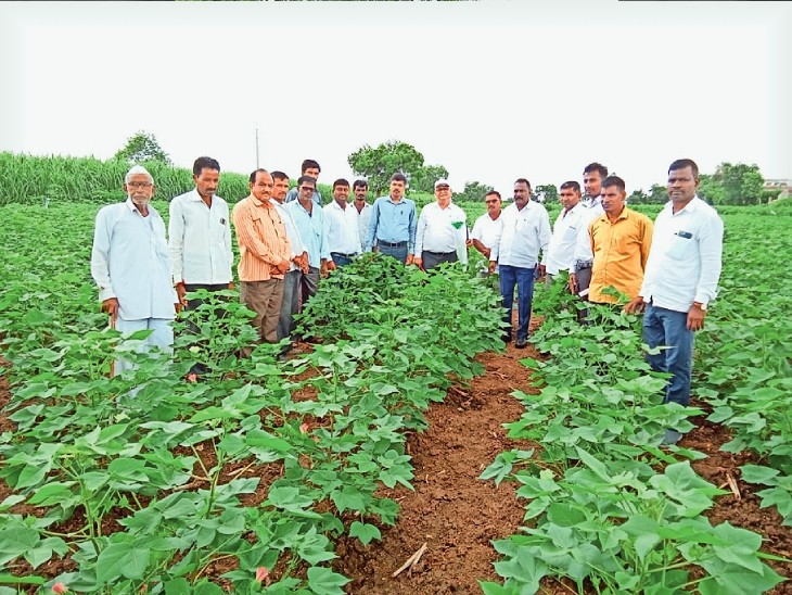 स्वातंत्र्याच्या अमृत महोत्सवाचा उपक्रम; कीडरोग नियंत्रणावर मंथन