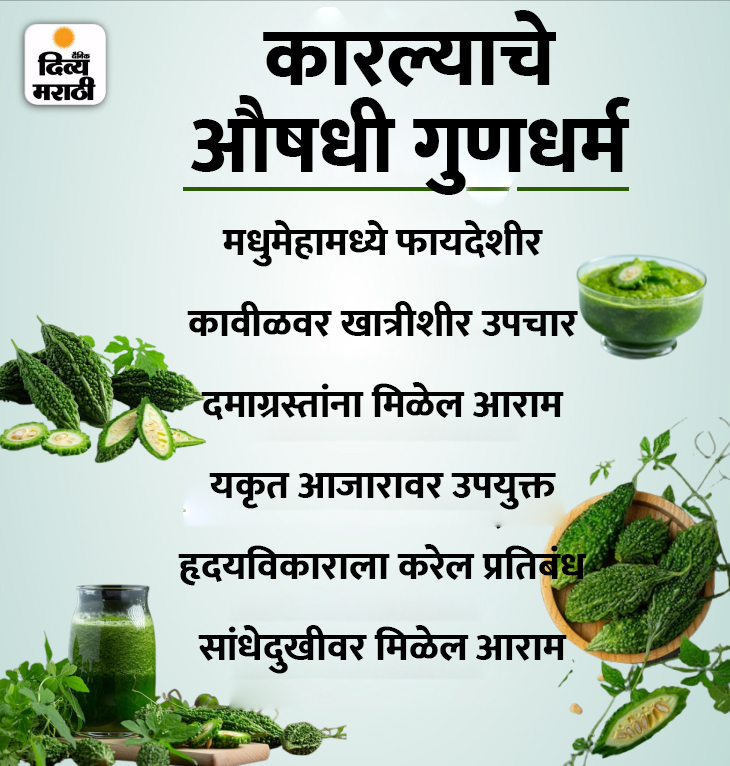 Eating Bitter Gourd In Pregnancy Can Lead To Early Delivery Or