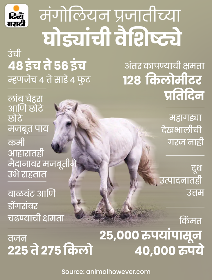 China had to build the wall because of these Mongolian horses