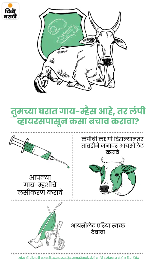 Risk of Lumpy: Never drink raw milk. Otherwise you will get sick, what ...
