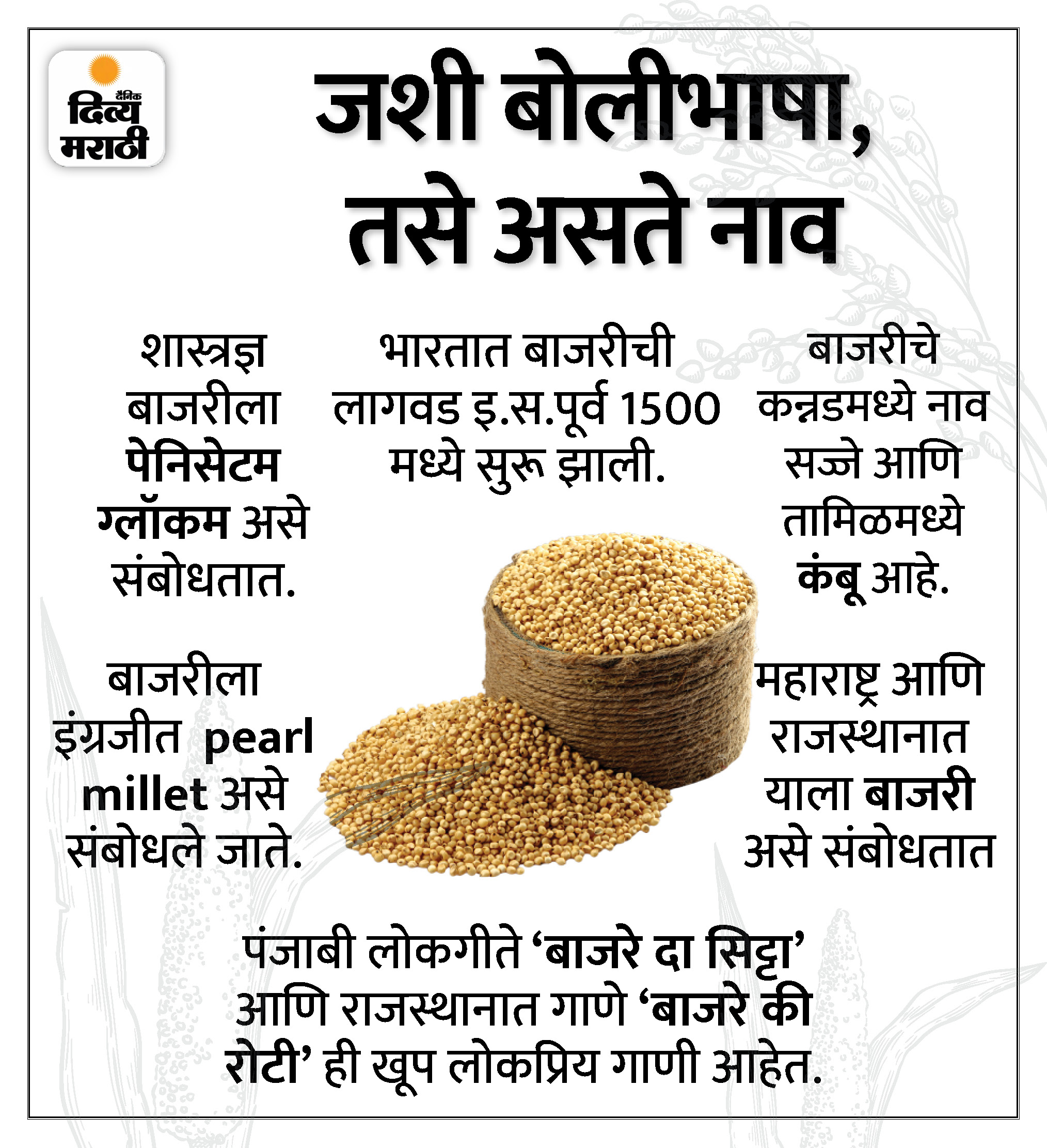 Journey of from Africa to India; This grain was a