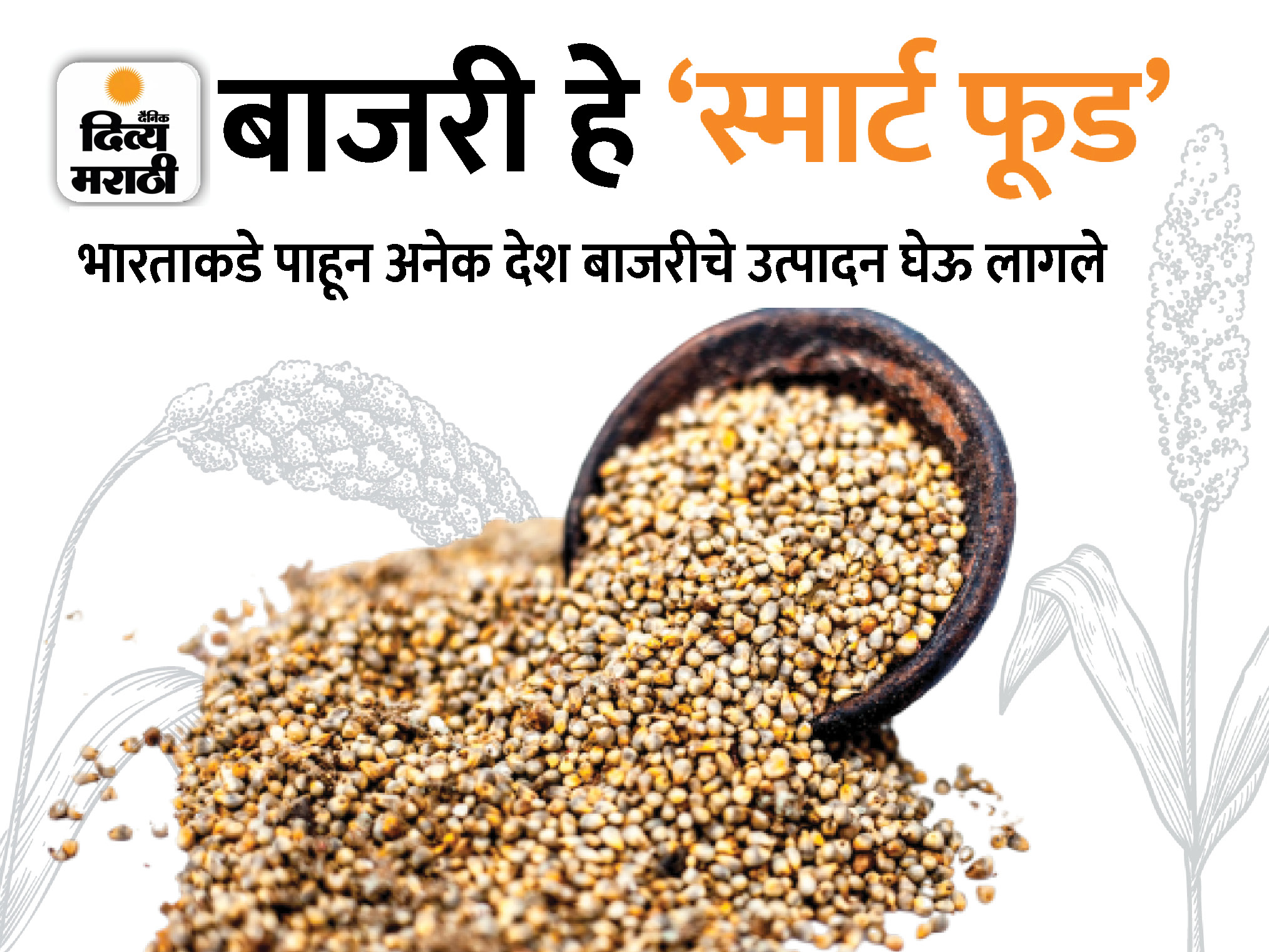 Millets In Marathi Journey of millet-sorghum-dance from Africa to India; This grain was a ...