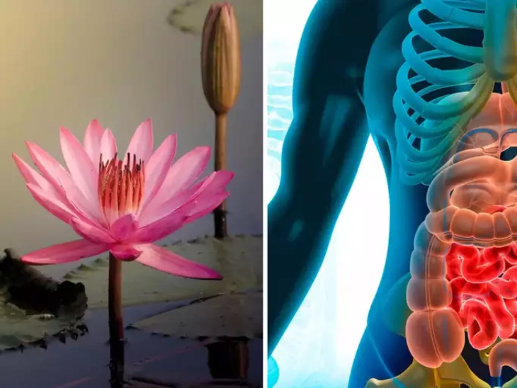 On Diwali Occasion Know 10 Amazing Health Benefits Of Lord Laxmi