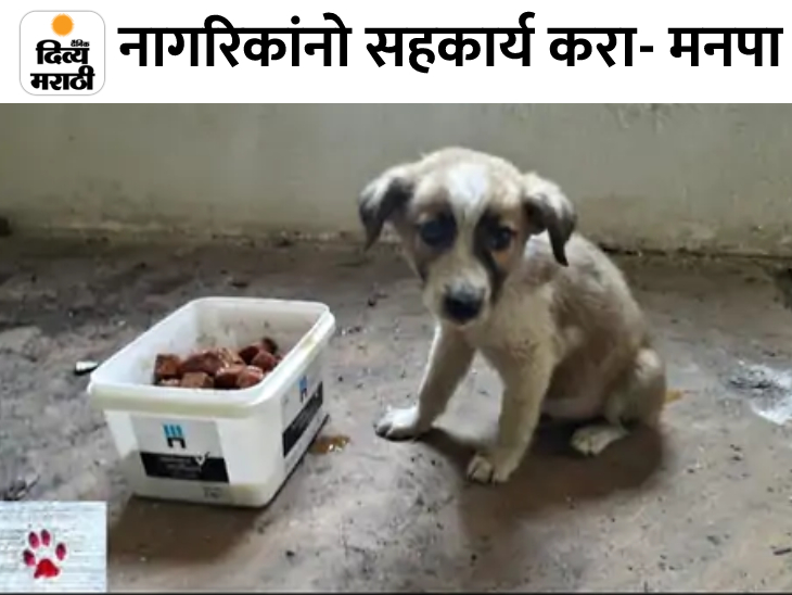 नागरीकांना होणाऱ्या त्रासामुळे निर्णय, अन्न देण्याची ईच्छा असल्यास