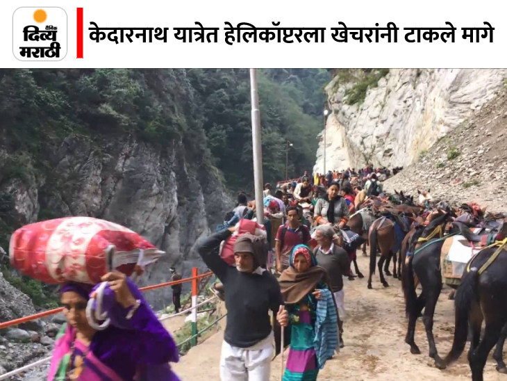 Chardham Yatra mules rake in whopping Rs 101 crore, while choppers
