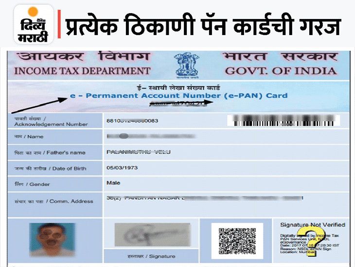E PAN Card Download Process I Instatnt E PAN Card I Latest news and