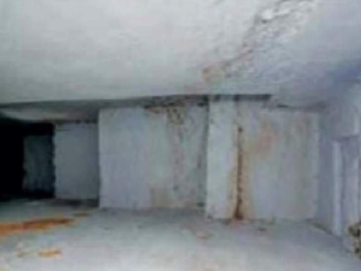 Day 3 of Jnanavapi Survey, Structures like temple culminations under