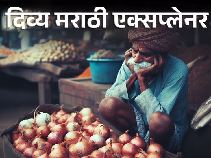 Onion Price Hike Crisis Reason Explained; Mp Maharashtra Mumbai