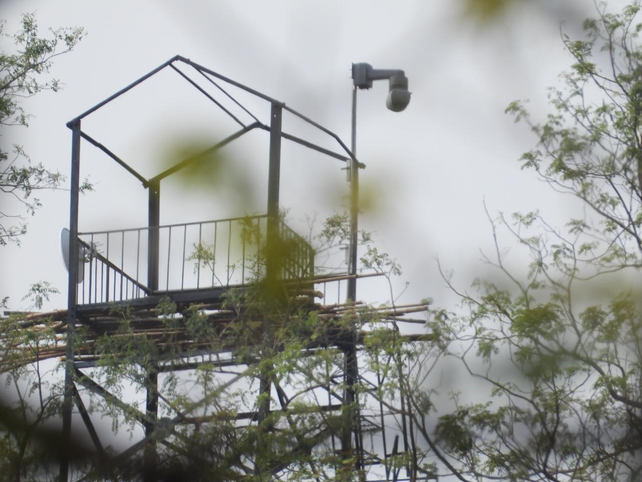 Pench Tiger Reserve AI-based fire detection system is installed ...