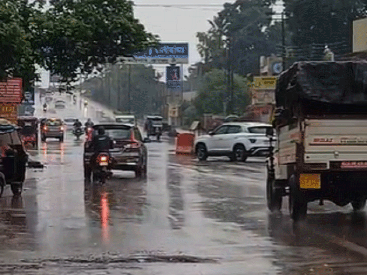 Rain batters again in Mumbai, impact on railway traffic due to tree